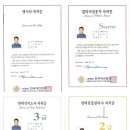 도그아트켄넬 이미지