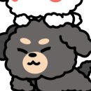 치킨퐁닭