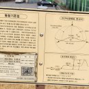 칠금동006 Daum카페