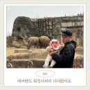 연우랜드 | 4개월 아기랑 에버랜드 워킹사파리 평일 후기 눈치게임성공 [3월아기외출복, 군인할인, 에버랜드 카카오...