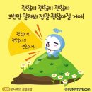 진심 이미지