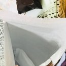 정직한마음약국 이미지