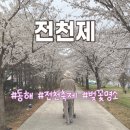 [동해] 아기랑 전천 축제 방문 후기 | 다양한 체험과 먹거리가 가득한 전천제 소개