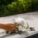 현대장의사 - 부평구 신촌로 45-1 | 현대장의사