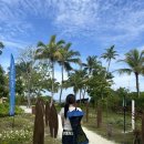 디투(D2) | 🌴두짓D2 몰디브(Dusit Thani Maldives) 신혼여행 후기 총정리 (일정·비용·객실)