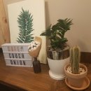 우리꽃집&카페 이미지