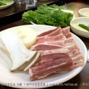 칠삭 Daum카페