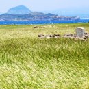 가고픈청보리 이미지