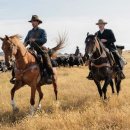 도그스토리 이미지