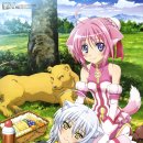 도그데이즈 이미지