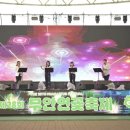무안연꽃축제 다녀온 후기! 연꽃·공연·체험·물놀이까지 즐긴 전남여름축제