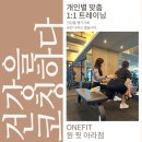 원 핏 아라 이미지