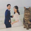박건강