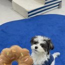 원미로124번길 이미지