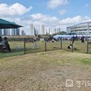 안산 안산 와~ 스타디움 경기도민일보
