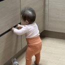 대경로(서) 이미지