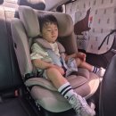 브라이텍스 어드밴스픽스 프로 럭스 토들러 카시트 내돈내산 후기