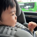 화이컴아이앤티 | 댕밀린 육아와 덕질 사이 일상 블로그