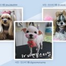 한송아헤어