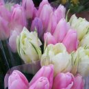 선길농장 이미지