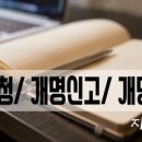 지음애