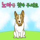 수소수이야기 이미지