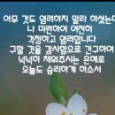 샬롬 Daum카페
