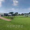 라온스파펜션 | 라온애견펜션 직접 다녀온 소규모 펜션 후기