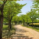 부산야생동물치료센터 | [부산 가볼만한곳] 사직구장 38배 규모의 생태 습지! 을숙도철새공원 &amp; 낙동강하구에코센터