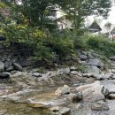 리즈밸리 이미지