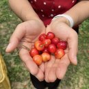 동민식당 이미지