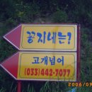 꽁지네일