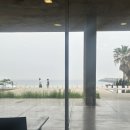 제주도 카페 진정성 종점 / 제주 카페 진정성 다녀온 후기