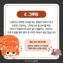 고양이미용사 임서영 이미지