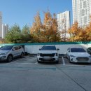 셀린약국 이미지