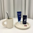 네오덴탈 | 잇몸부었을때 관리 방법 네오메딕스 덴티포뮬러 치약 추천