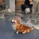 구름뜬하늘 이미지