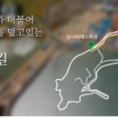 장고도7 이미지