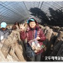 달하산농장