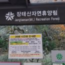 힐링(장태산) | 🌿 [대전 여행] 수원에서 KTX 타고 떠난 힐링 코스, 장태산 자연휴양림 후기