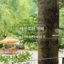 카페숲 네이버블로그