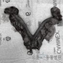 으뜸원동물병원 이미지