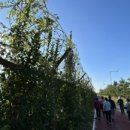 장항공원 화장실 이미지