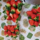 경춘농장 이미지