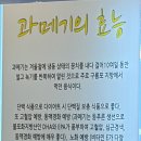 해초과메기대전직영점 네이버블로그
