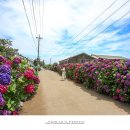 안성리-6 이미지