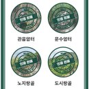 달마고도 이미지