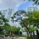 대진중학교 옆 이미지