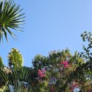 투케이코리아 | 발리 여행 / 사누르 하얏트 근처 걸어서 쇼핑 장소 추천 (feat. 빨대가방 , 아이콘발리 , 티켓투더문)