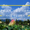 2023 양평 세미원 연꽃축제, 세미원 연꽃문화제, 두물머리 연꽃 이미지